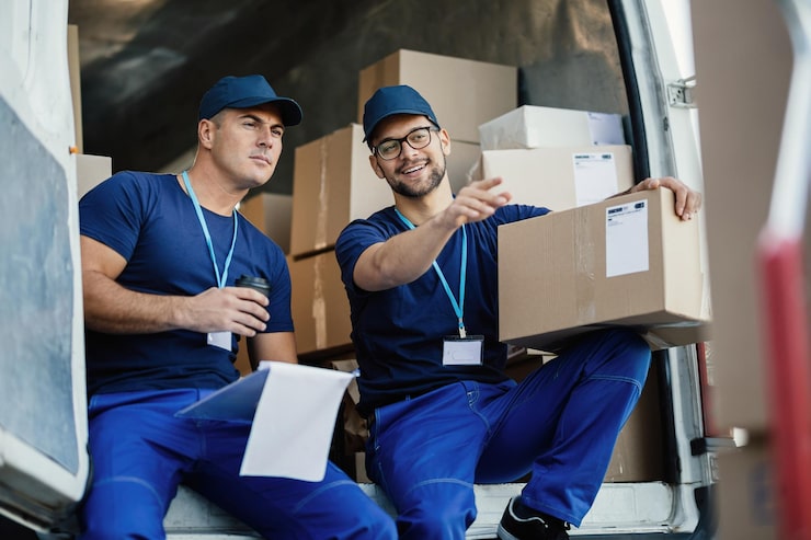 Professional Movers to Hawaii Solutions
